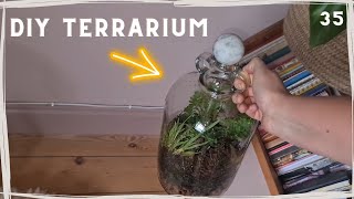 HOW TO MAKE A TERRARIUM in a DEMIJOHN emmavlogs 35 [upl. by Outhe]