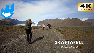 Skaftafell  Walking in Iceland 4K [upl. by Flemming]