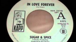 Sugar amp Spice  In love forever [upl. by Yednarb]