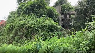 Old Lady Cleaning Abandoned House 30 Year Overgrown  Cut Overgrown Grass Front Yard [upl. by Endora142]