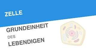 ZELLE GRUNDEINHEIT DES LEBENDIGEN  Biologie  Biologie der Zellen [upl. by Yderf]