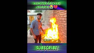 Hamster Ka Ghar Jaladia Turab Ne 😭💔 trending videoediting shehrmaindihat shorts [upl. by Turro]