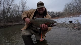 Cold and crisp Conneaut Creek steelhead [upl. by Lauren]