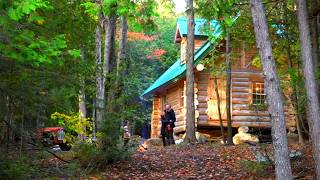 First Autumn at the Cabin with Family  Ep118  Outsider Cabin Build [upl. by Denna]