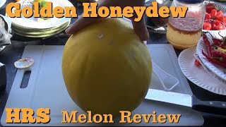 Golden Honeydew Melon  Cucumis melo  melon review [upl. by Danyluk]