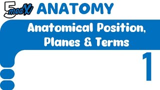 Lecture 1  anatomical position planes amp terms  Mcqs [upl. by Asilla]