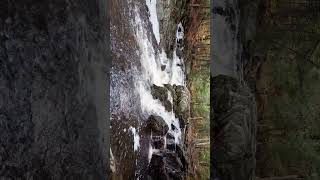 Stowes fall colors and gentle waterfalls  natures perfect harmony fall nature waterfall [upl. by Ganny694]