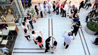 Rueda Flashmob Munich 29032014 [upl. by Boarer884]