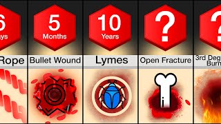 Comparison Fastest Healing Wounds Part 2 [upl. by Rdnaskela]