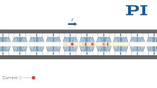 PIMag™ Magnetic Linear Motors [upl. by Teddman]