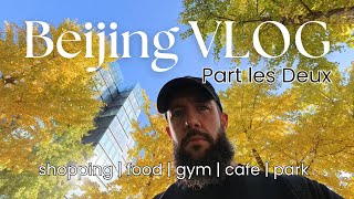 Beijing VLOG part 2 workoutshopcafefoodparkchill [upl. by Iatnohs]