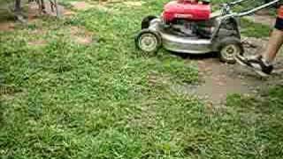 Honda HR215 shaft driven commercial garde lawnmower [upl. by Yesdnik676]