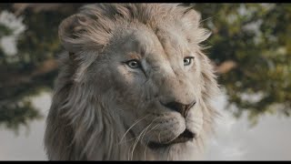 Disney’s Mufasa The Lion King  Fight With Me  In Cinemas Now [upl. by Meares806]