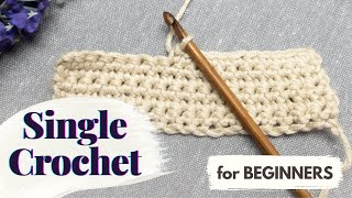 How to Single Crochet  Crochet for Beginners [upl. by Amalie491]