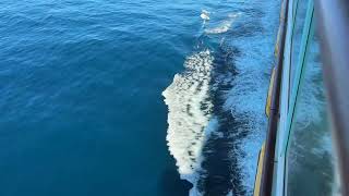 Sea Dog’s Navigator of the Seas Relaxing Minute [upl. by Roby913]