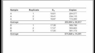 Real Time QPCR Data Analysis Tutorial [upl. by Eneluqcaj]