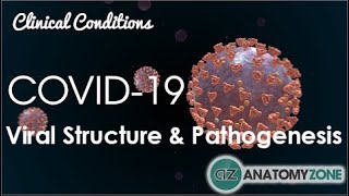 Coronavirus COVID19  Viral Structure amp Pathogenesis [upl. by Beckerman]