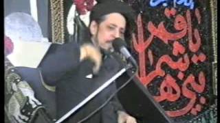 Allama Zamir Akhtar NaqviquotZULFIQAARquot MEER ANEES KI NAZAR MEIN PART1 [upl. by Ahsonek306]