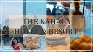 【VLOG】 カハラホテル横浜でステイケーション amp アフタヌーンティー  THE KAHALA HOTEL amp RESORT YOKOHAMA [upl. by Drarej]