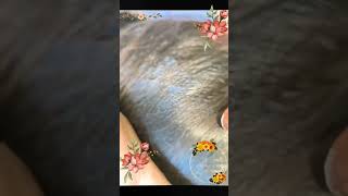 ASMR LICE REMOVE lice hairstyle liceremoval hairlice hair nomorelice haircut satisfying [upl. by Ham248]