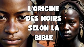 LA BIBLE RACONTE LINCROYABLE HISTOIRE DE LORIGINE DU PEUPLE AFRICAIN  HISTOIRES BIBLIQUES [upl. by Dranyer]