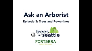 Ask an Arborist Seattle Tree Ambassadors Ep 3 [upl. by Inirt]