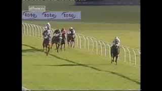 2003 Derbyshire Apprentice Classified Stakes [upl. by Gonyea283]