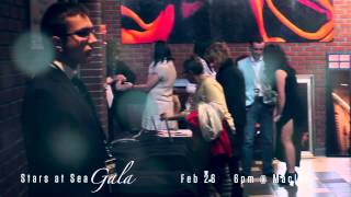 Stageworks Gala Promo [upl. by Behm]