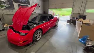 C5 Corvette Dyno Pull [upl. by Arvy132]