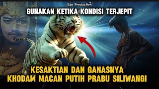 BUKAN UNTUK MAIN MAIN  Kesaktian dan Ganasnya Khodam Macan Putih [upl. by Ecnedurp405]