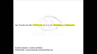 Derivatives of Ectoderm and Endoderm MCQ mp4 [upl. by Ogdon]