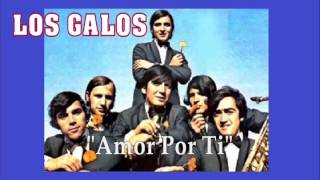 LOS GALOS quotAmor Por Tiquot [upl. by Pravit]