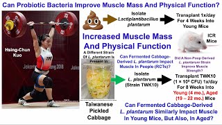 L plantarum Increases Muscle Mass And Physical Function Part II [upl. by Yddeg117]