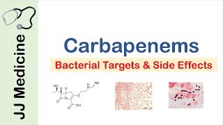 Carbapenems  Bacterial Targets Mechanism of Action Side Effects [upl. by Yebloc]