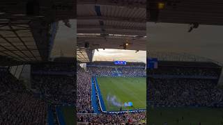 BLUES FANS CELEBRATE ALFIE MAY EQUALISER 🔵⚪️ shorts [upl. by Searcy531]