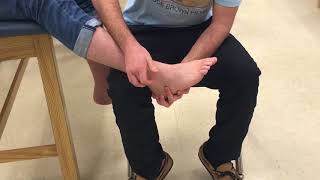 Valgus and Varus Stress Tests of the Ankle [upl. by Brathwaite942]