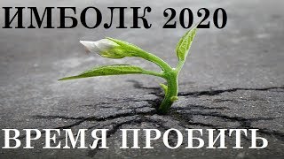 СКОРПИОН ИМБОЛК 2020 ТАРО [upl. by Caddaric]