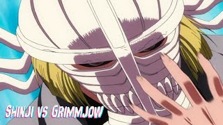 Shinji vs Grimmjow Full Fight English Dub 1080p  Bleach [upl. by Haidadej]