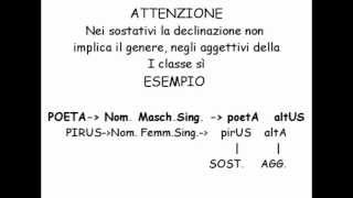 Gli aggettivi della prima classe  lezioni di latino Tubedocet [upl. by Atirehc]