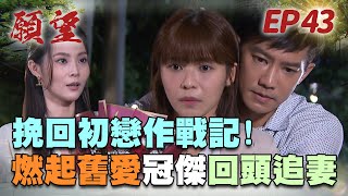 願望 EP43 完整版｜珍妮求婚大失敗 曉春冠傑終於舊情復燃！小三轉正宮 美妍竟懷有金孫？！｜Desires｜【蘿琳亞塑身衣】 [upl. by Kurzawa691]