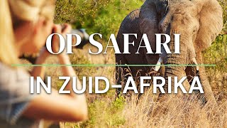 Op Safari in Zuid Afrika [upl. by Prissy]