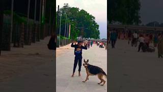 Dog 🐕 reaction video dekh kar comment ma bataen nahi bhula youtubevideo puppyvideos pugpals 🐕🤭😆 [upl. by Salisbury]