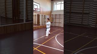 YamaguchiSensei demonstrates 3rd movement of kata junro shodan [upl. by Eed]