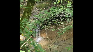 Mammoth Cave National Park  North Side [upl. by Egor]