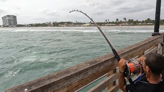 Pier Fishing [upl. by Kenric]