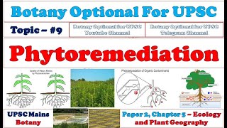 Phytoremediation Types Advantages Limitations Botany Lectures By Dr Pravin Ekade [upl. by Stelmach]