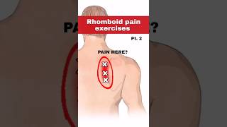 Rhomboid pain relief exercise [upl. by Hartzell906]