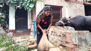 Diwali Mein Ghar Se Bahar Safai Karte Karte Halat hi kharab ho gai gaon ka Jivan housewife hard work [upl. by Westlund]