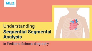 Understanding Sequential Segmental Analysis in Pediatric Echocardiography [upl. by Sterner]