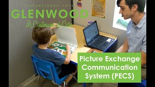 Introduction to PECS Picture Exchange Communication System [upl. by Dincolo]